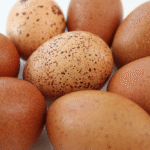 Welsummer Chicken Eggs