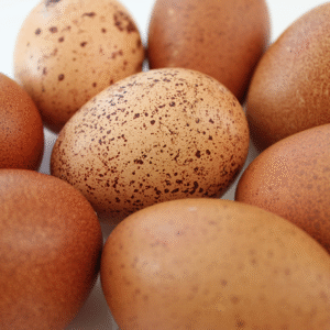 Welsummer Chicken Eggs