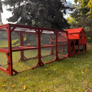 chicken coop for 4 chickens