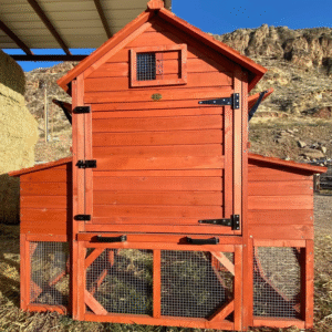 chicken coop for 6 chickens