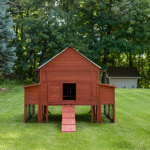 chicken coop for 15 chickens